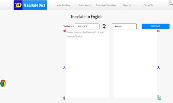 translate dick