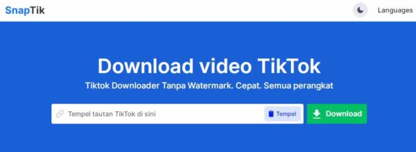 Menggunakan SnapTik Website